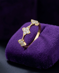 Showtime Gems velvet product photo